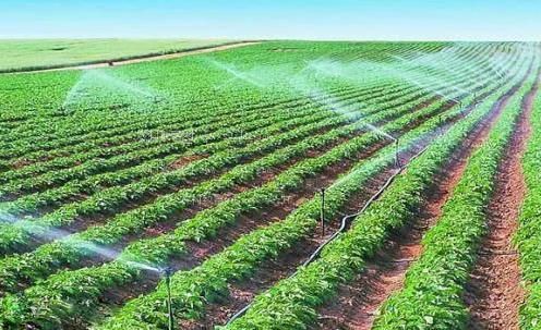 啊啊啊啊啊啊啊啊好爽好痒好湿在线播放农田高 效节水灌溉